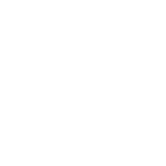 government icon